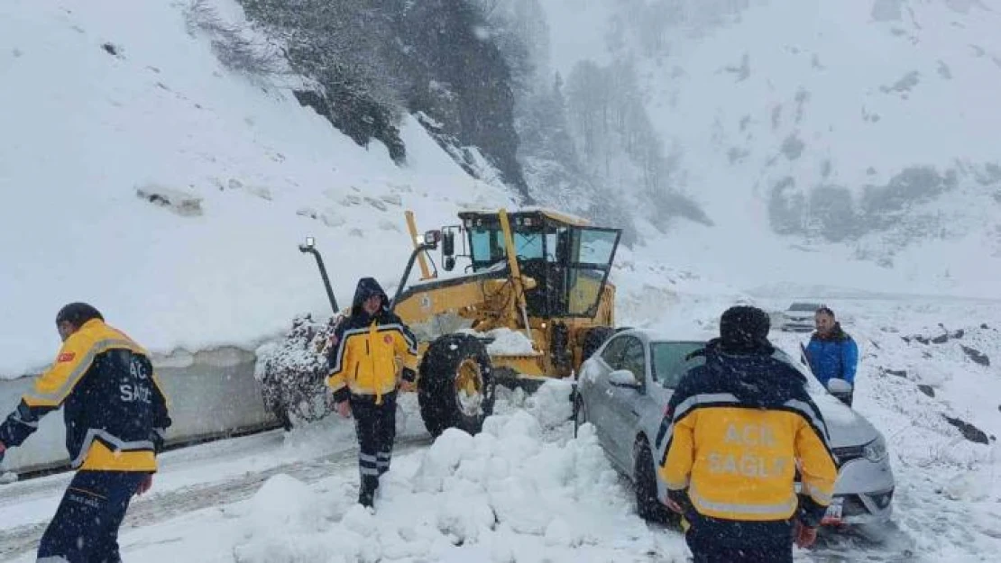 Artvin'de Mayıs ayında yağan kar 6 köyün yolunu kapattı