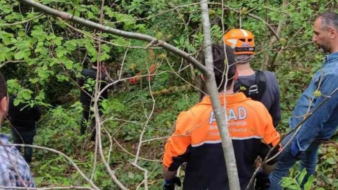 Artvin'de uçuruma yuvarlanan yaşlı adam hayatını kaybetti