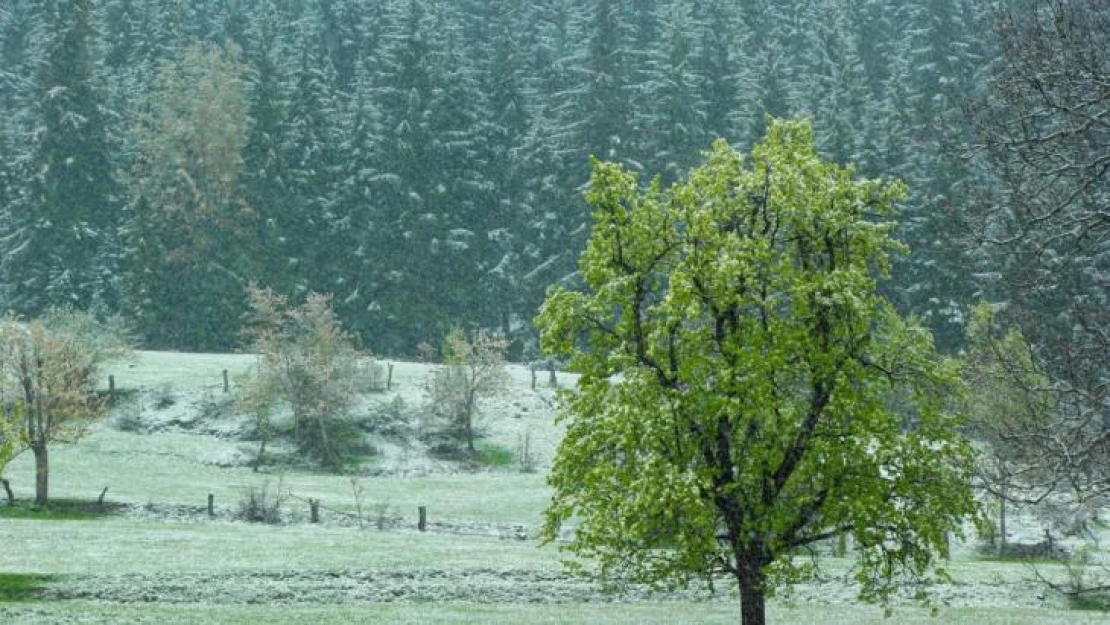 Artvin'in yüksek kesimlerinde kar etkili oldu