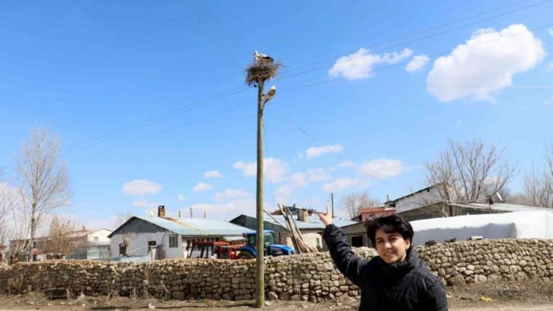 Asırlık misafirler yine geldi, bir aile caminin diğeri kilisenin çatısına kondu