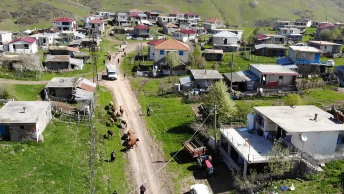 Asırlık yayla göçü başladı