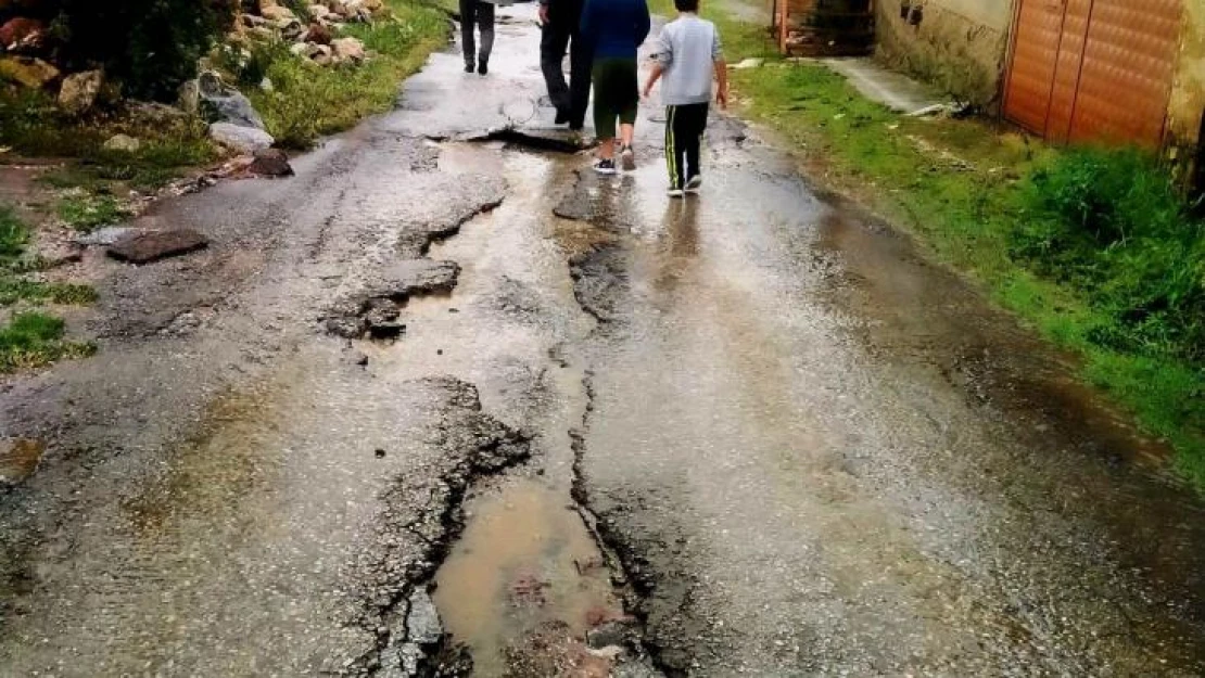 Aslanapa'da sağanak yağış sonrası oluşan sel ve dolu, ekili alanlarda zarara yol açtı