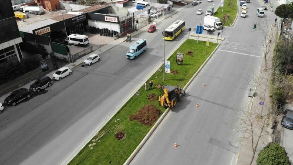 Ataşehir'de İBB ekipleri tarafından ağaçlar iş makineleriyle güpegündüz söküldü