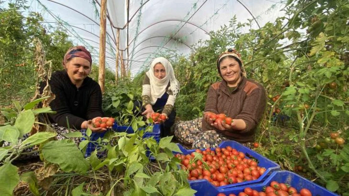 ATB Nisan ayı hal endeksini açıkladı