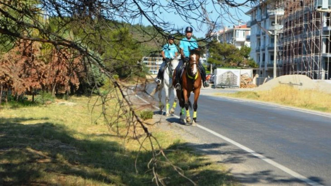 Ayvalık'ta orman yangınlarına karşı atlı jandarma önlemi