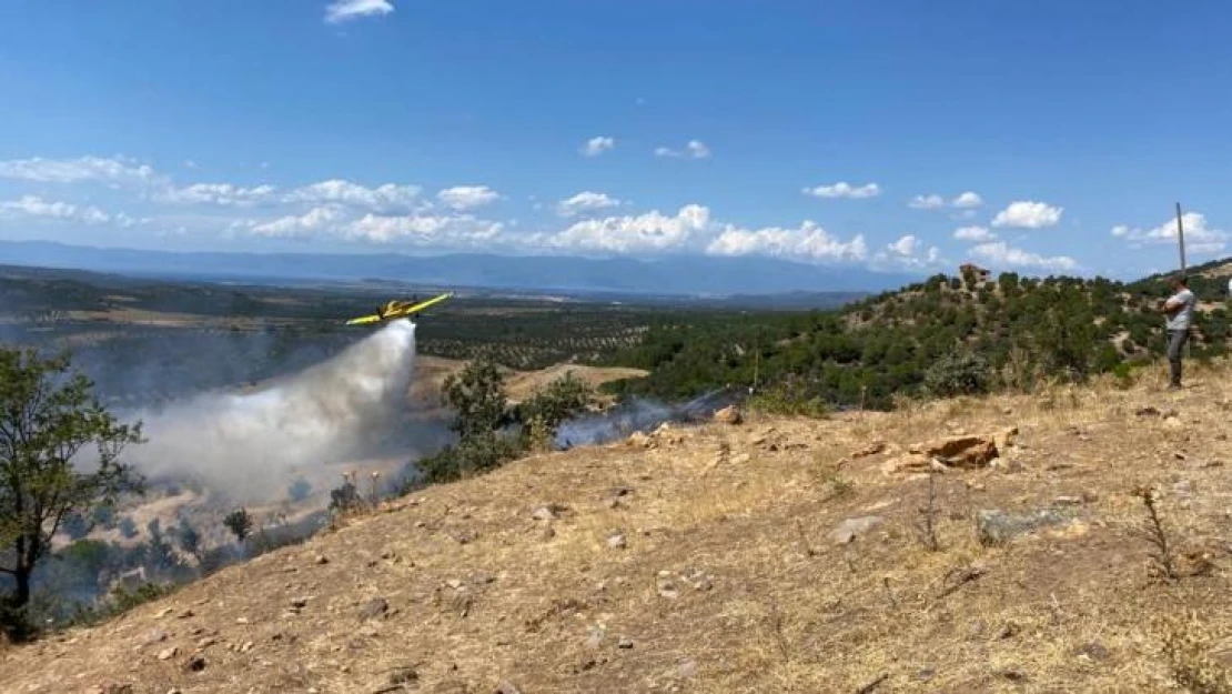 Ayvalık'ta ormanlık bölge sınırında çıkan arazi yangını kontrol altına alındı