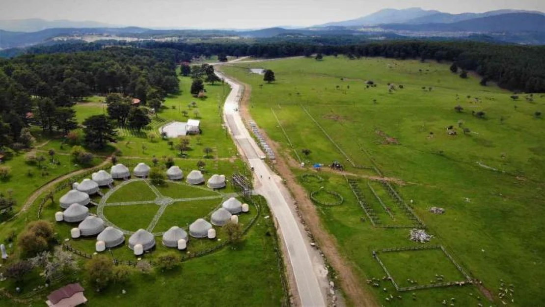 Bahar geldi, o yayla muhteşem görüntüye kavuştu