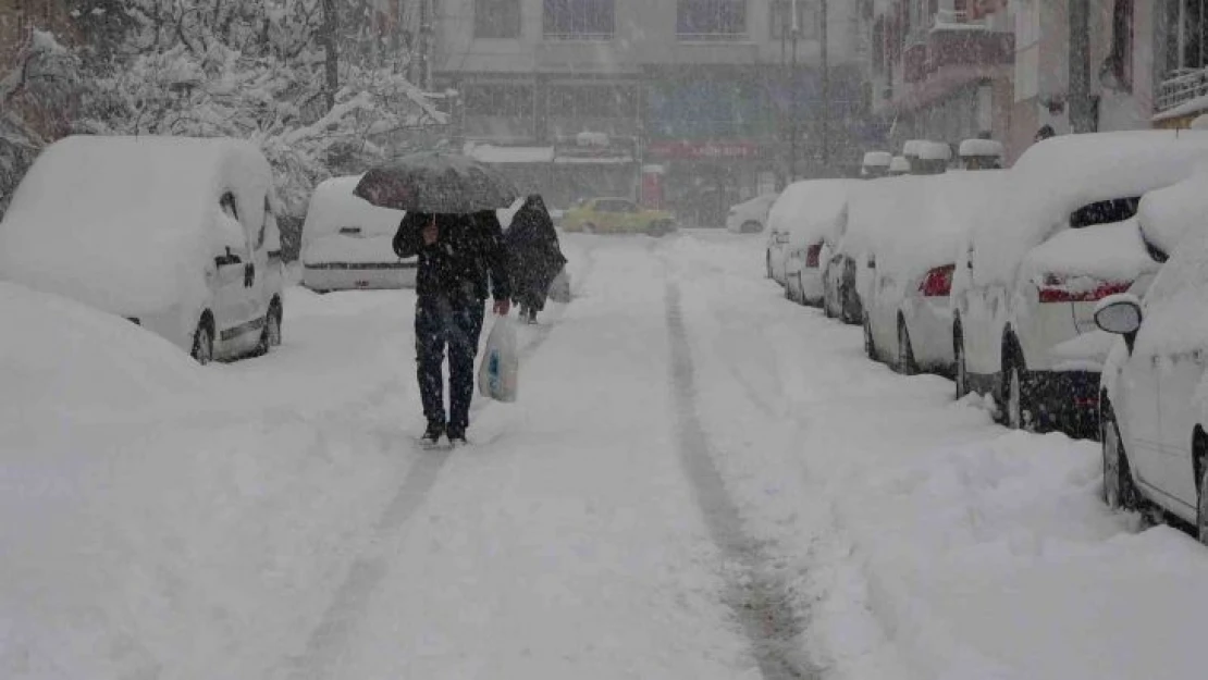 Baharı bekleyen Bingöl kara kışa teslim oldu