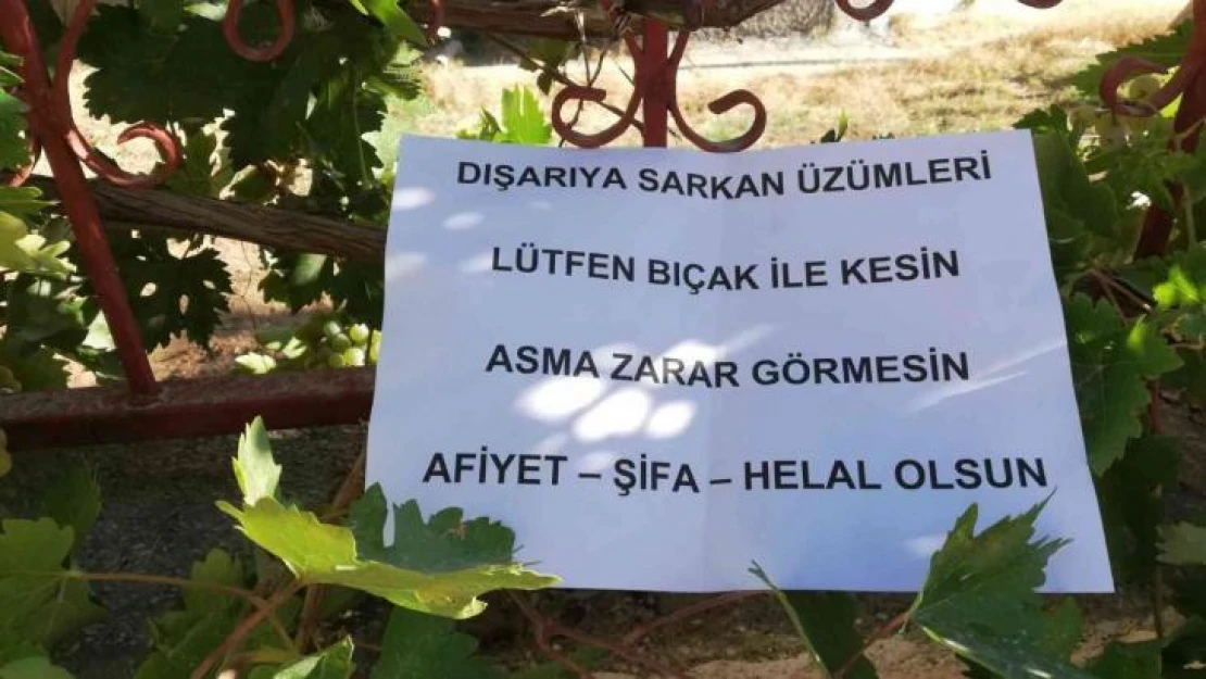 Bahçesinden dışarı sarkan üzümler için yazdığı notla gönülleri fethetti