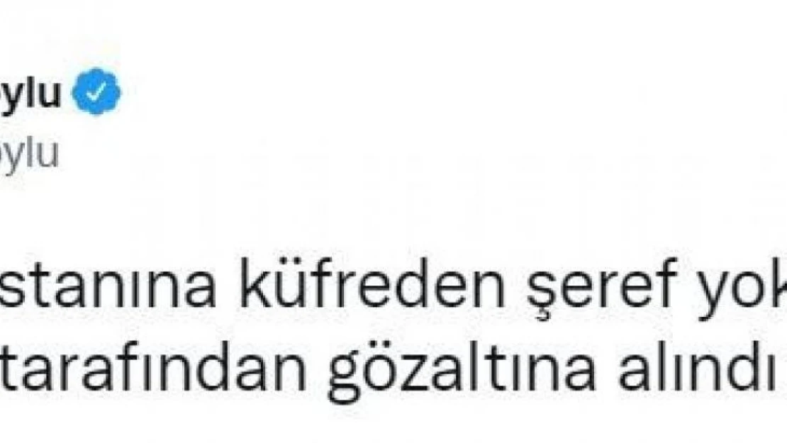 Bakan Soylu: '15 Temmuz Destanına küfreden şeref yoksunu alçak, İzmir Polisimiz tarafından gözaltına alındı'