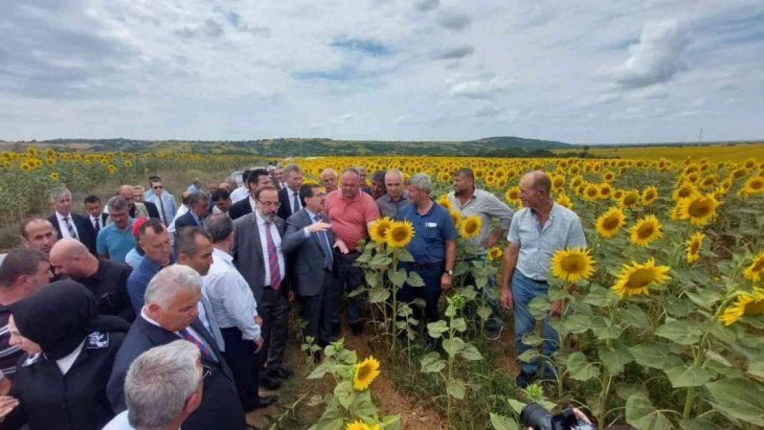 Bakan Yardımcısı Pakdil'den tırtıl istilası konusunda rahatlatan açıklama: 'Ürkütücü bir tablo yok'