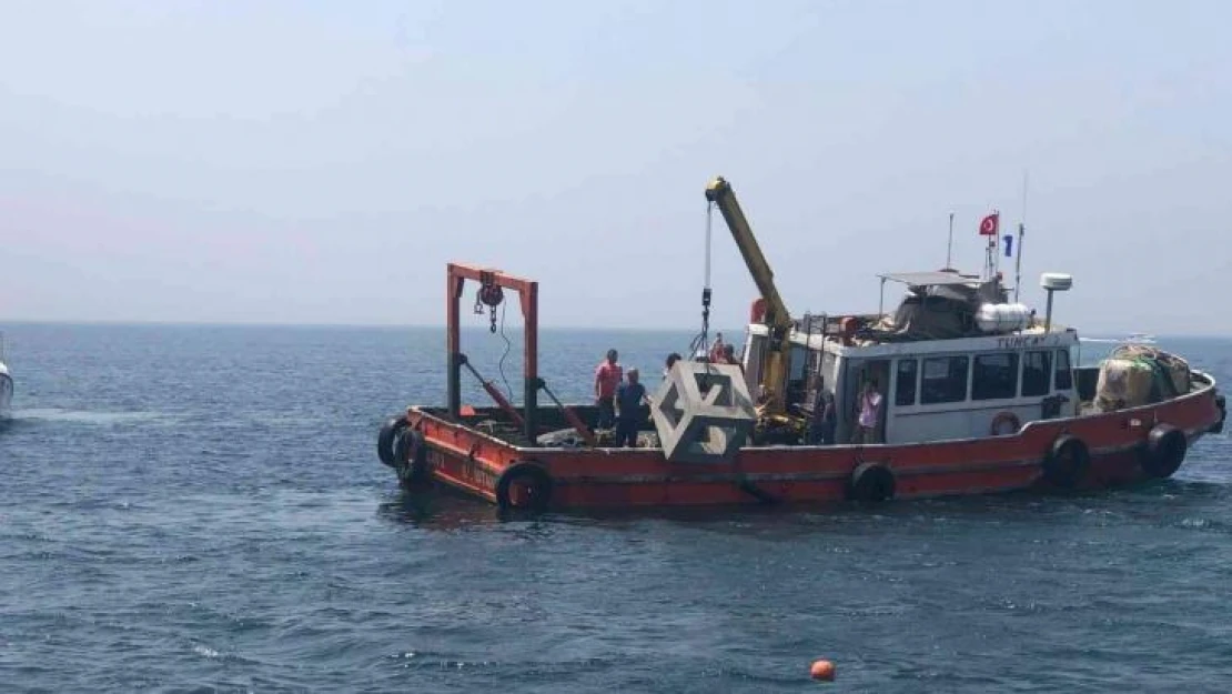 Balık popülasyonunun gelişimi için yapay resifler Marmara Denizi'ne bırakıldı