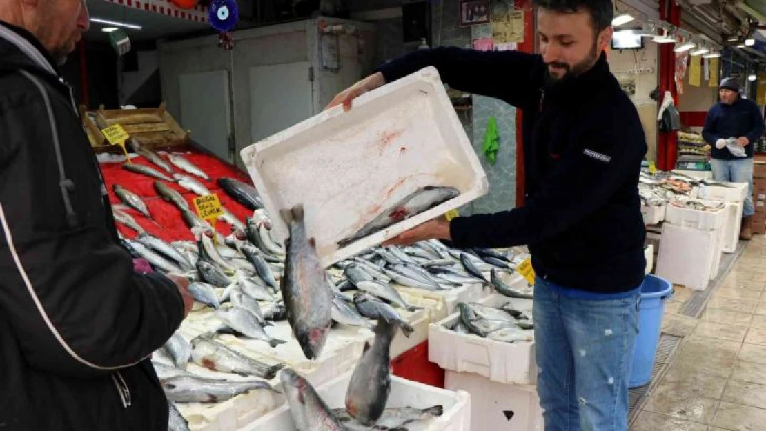 Balık tezgahları kültür balıklarına kaldı