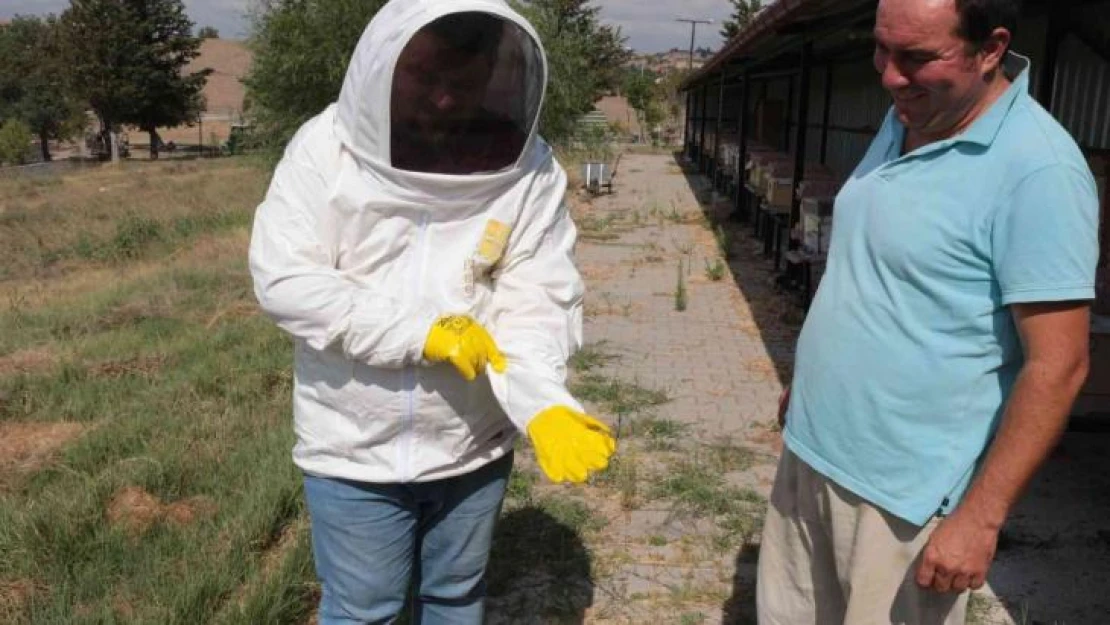 Balıkesir kraliçe arısı ile de meşhur olacak