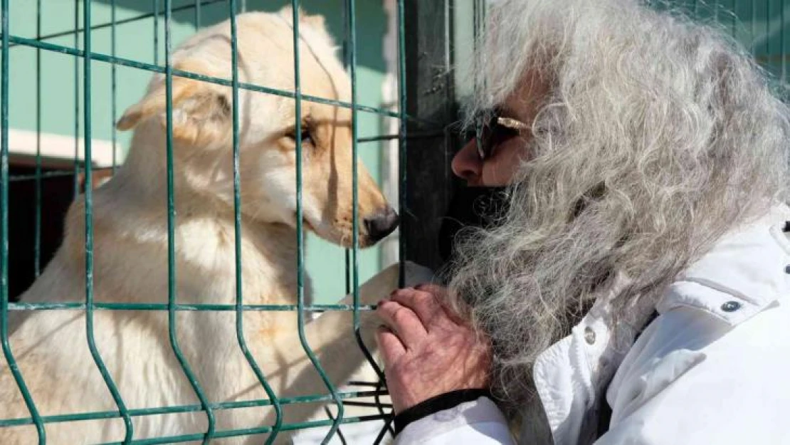 Barınaktaki yavru köpeklerin bakımsızlıktan öldüğü iddiası tepkilere neden oldu