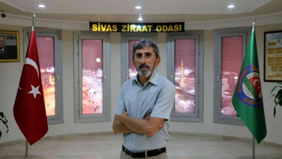 Sivas Ziraat Odası: 'Sel baskınında 30 bin dönüm tarım arazisi hasar gördü'