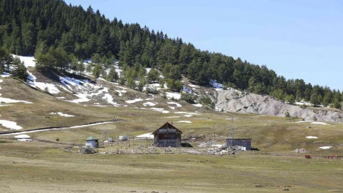 Başkent'in Karadeniz'i kıskandıran yaylaları havadan görüntülendi