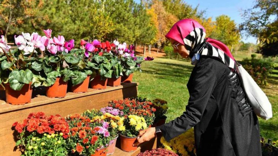 Başkentte 'Çiçeğim Takası' uygulaması başlıyor