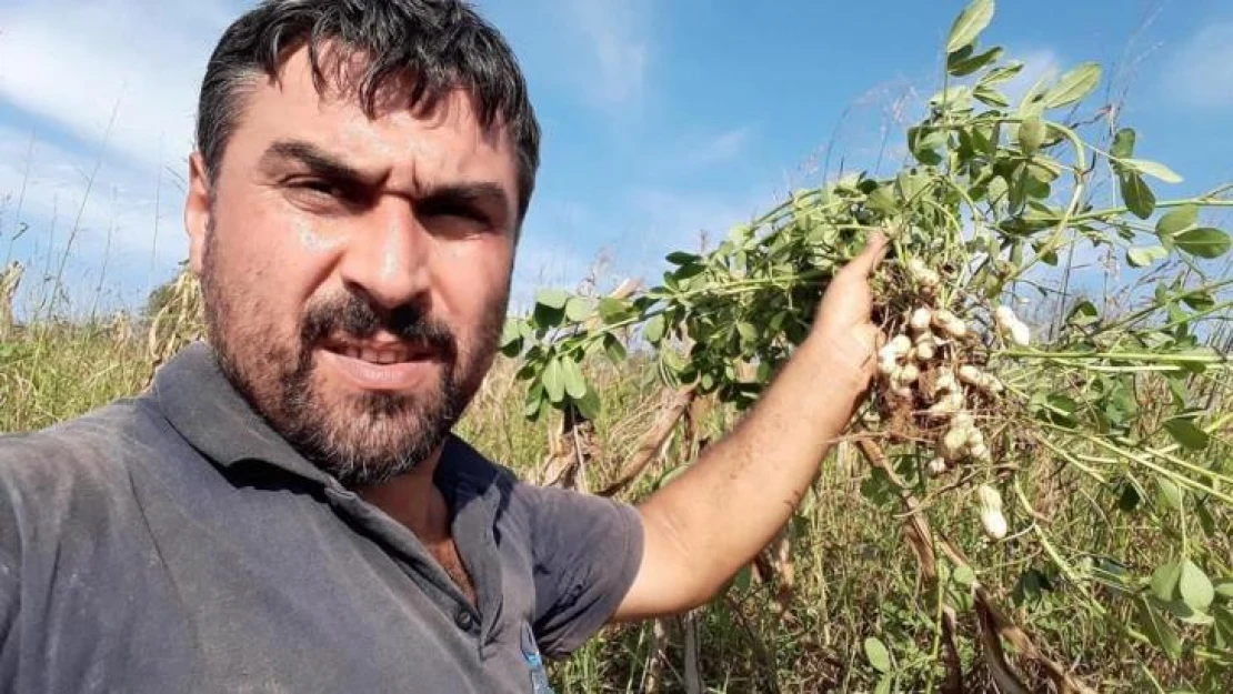 Bayram günü kardeş cinayeti