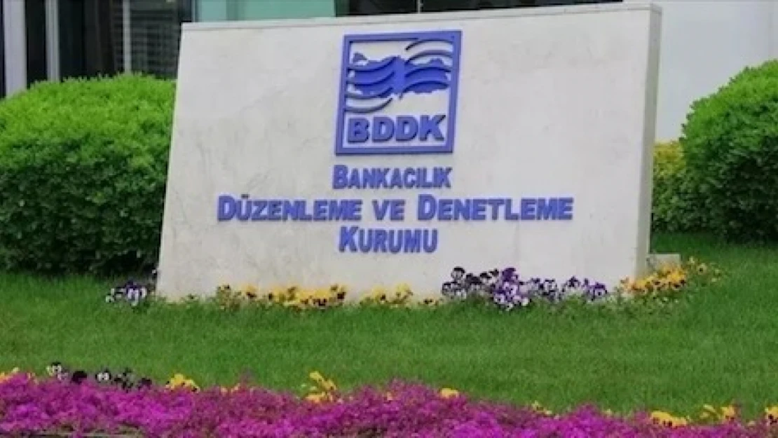 BDDK Teşkilat Yönetmeliği'nde değişiklik