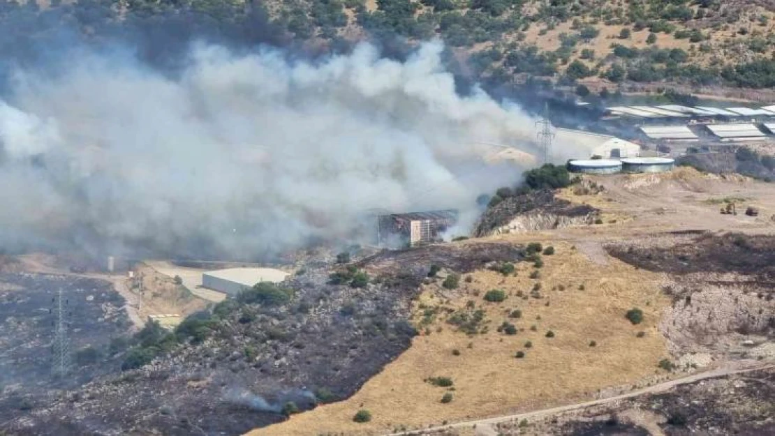 Bergama'da süt işletme tesisine sıçrayan yangın kontrol altında