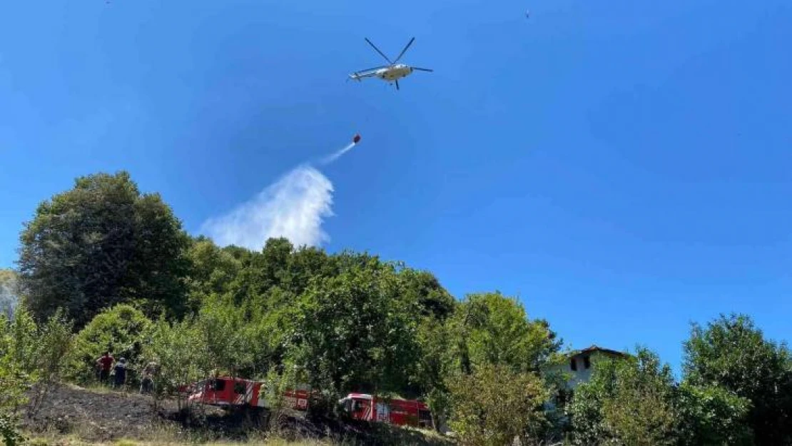 Beykoz Çavuşbaşı'nda çıkan orman yangını söndürüldü