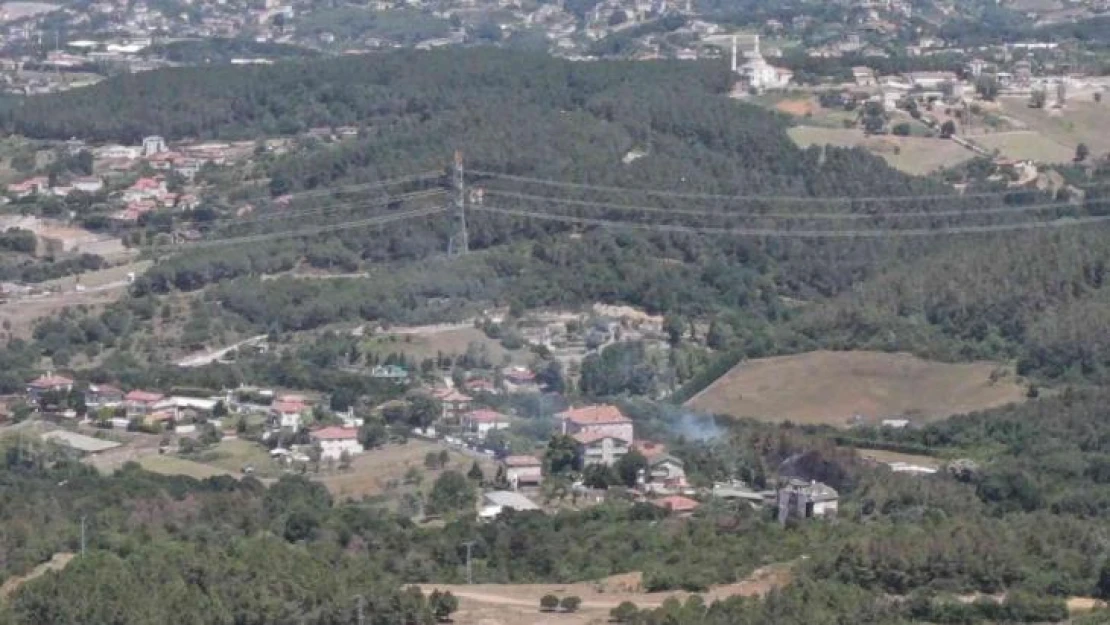 Beykoz'da ormanlık alandaki yangınla ilgili 1 şüpheli yakalandı