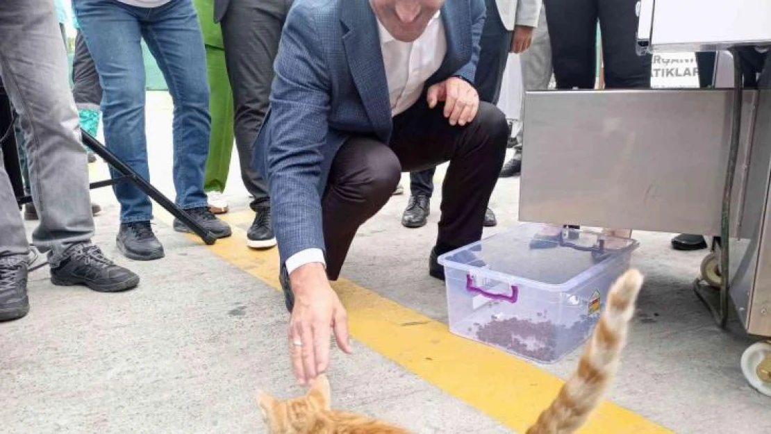 Beyoğlu'nda bir ilk: Gıda ve yemek artıkları hayvan mamasına dönüştürülecek