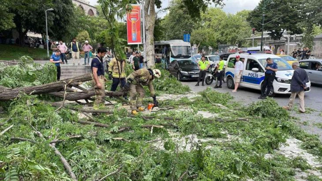 Beyoğlu'nda gövdesinden kırılan ağaç yola devrildi: 2'si turist 3 kişi yaralandı