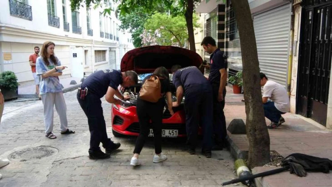 Beyoğlu'nda otomobilin motoruna yavru kedi sıkıştı