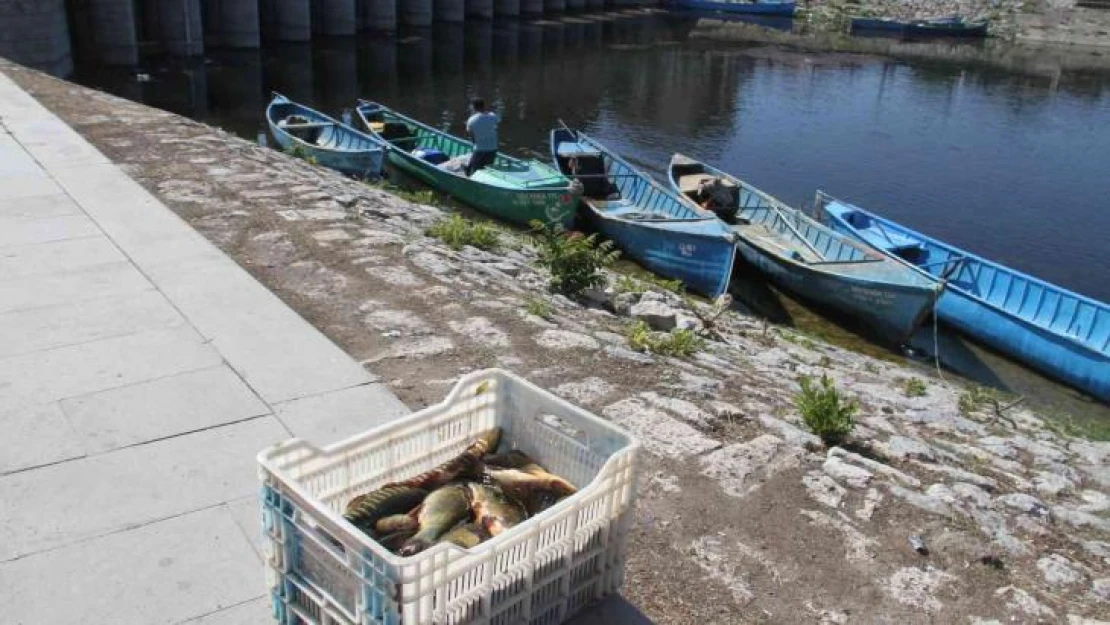 Beyşehir Gölü'nde su ürünleri av yasağı sona erdi