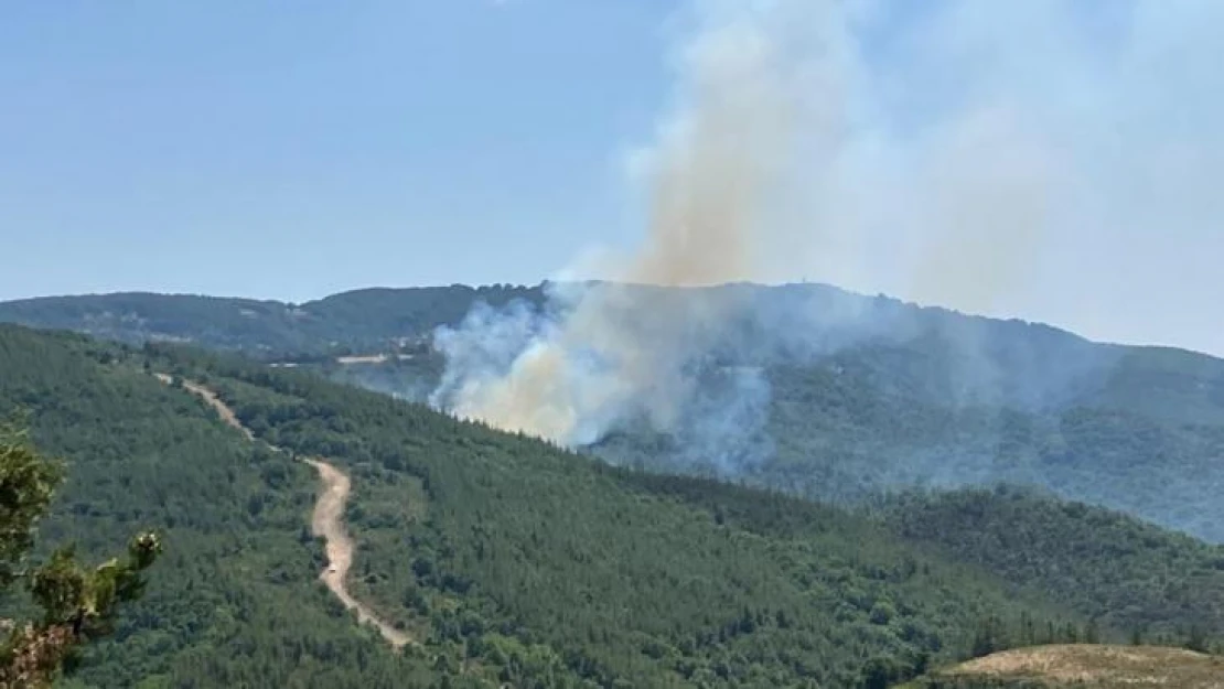 Biga'da çıkan orman yangını kontrol altına alındı