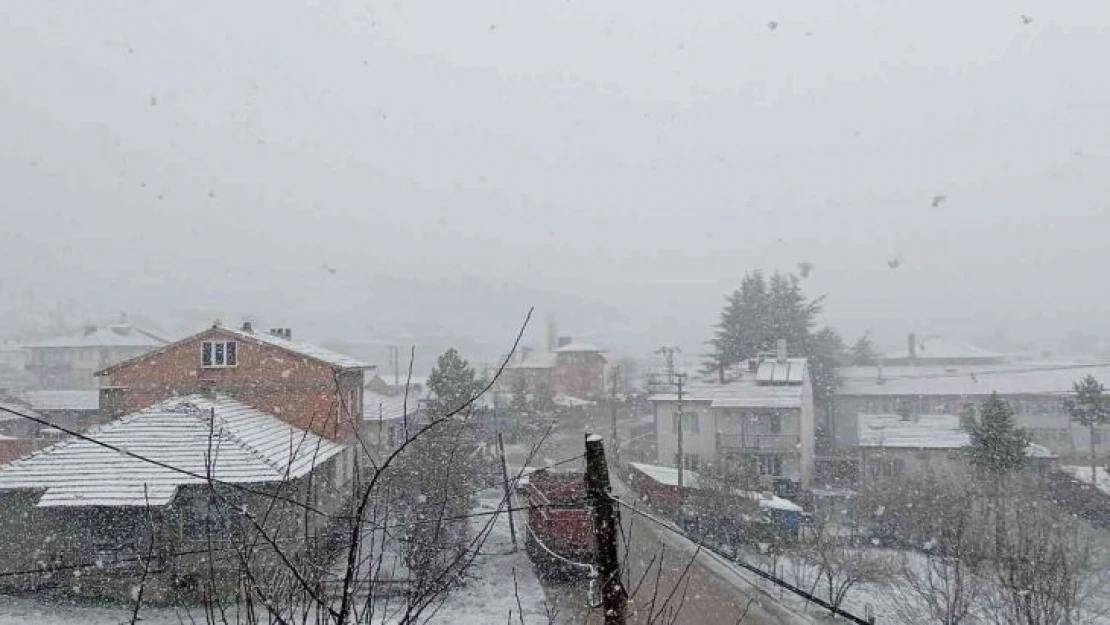 Bilecik'e Nisan ayında lapa lapa kar yağdı