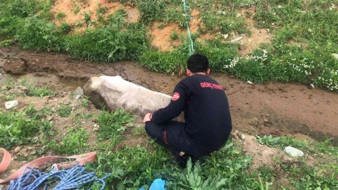 Bingöl'de çamura saplanan inek kurtarıldı