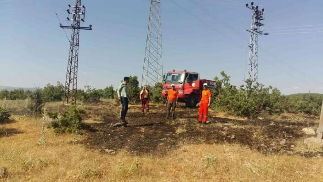 Bingöl'de çıkan orman yangını söndürüldü