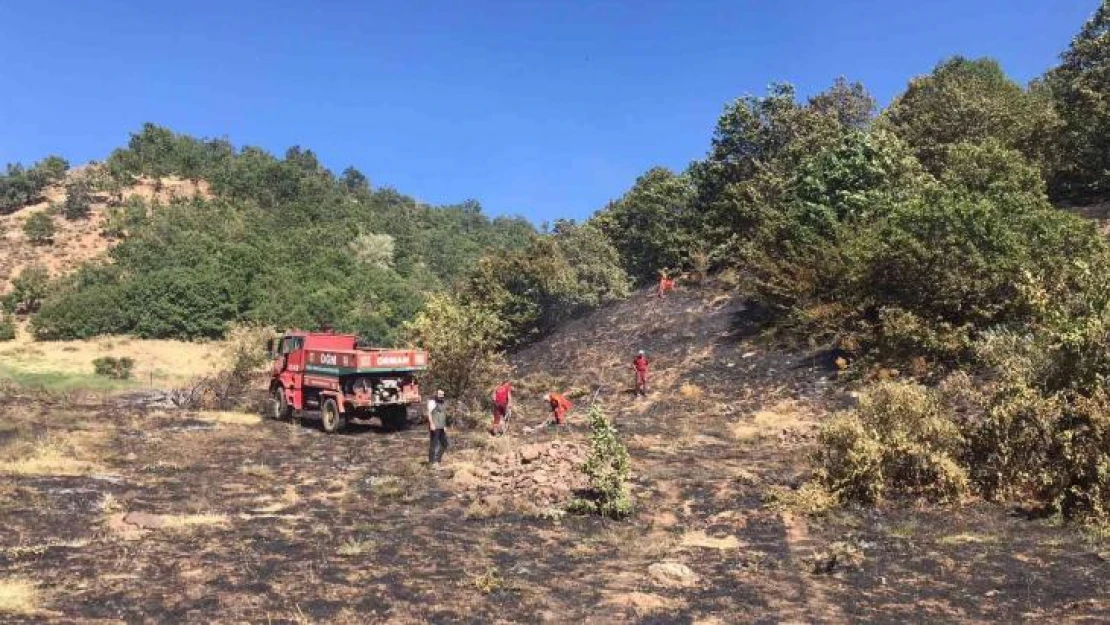 Bingöl'de çıkan orman yangını büyümeden söndürüldü