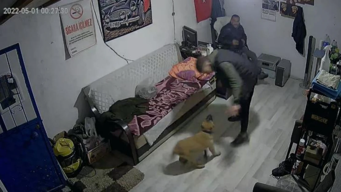 Bir anda havlayan köpekten aklı çıktı