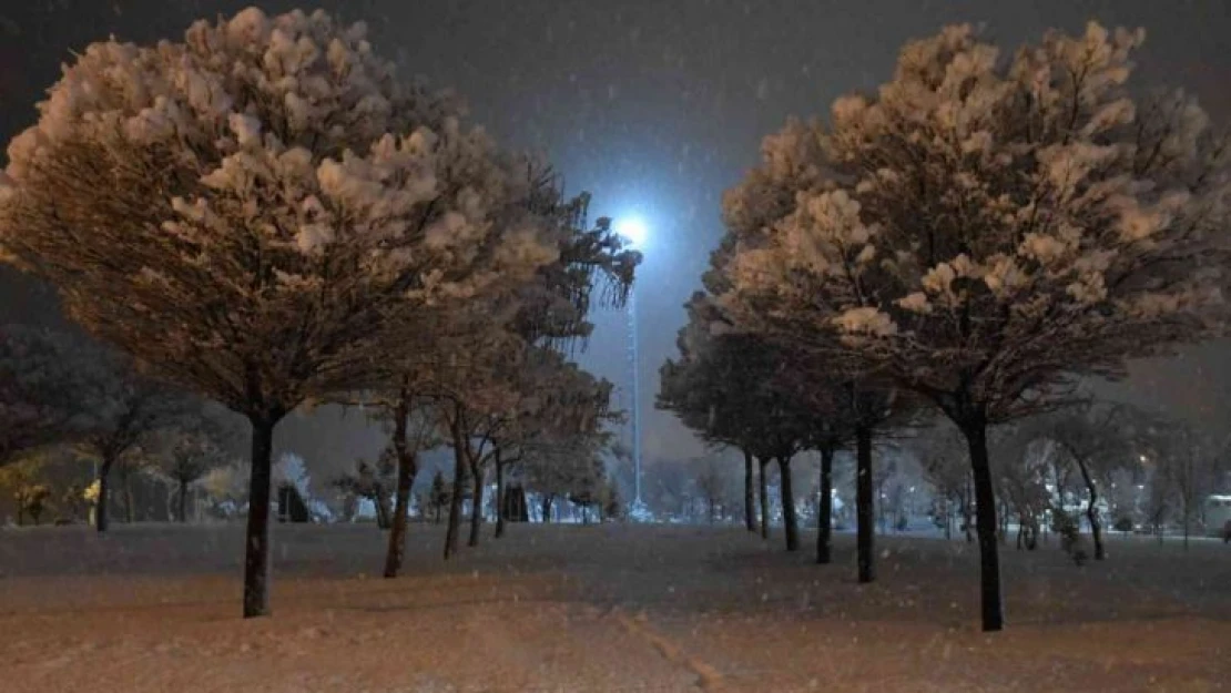 Bitlis bahara hasret kaldı