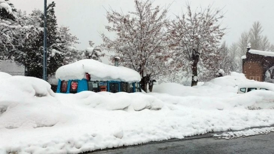 Bitlis'te 248 köy yolu ulaşıma kapandı