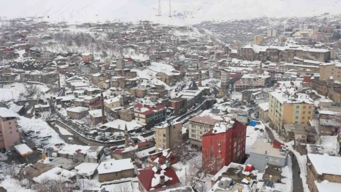 Bitlis'te 294 köy yolu ulaşıma kapandı