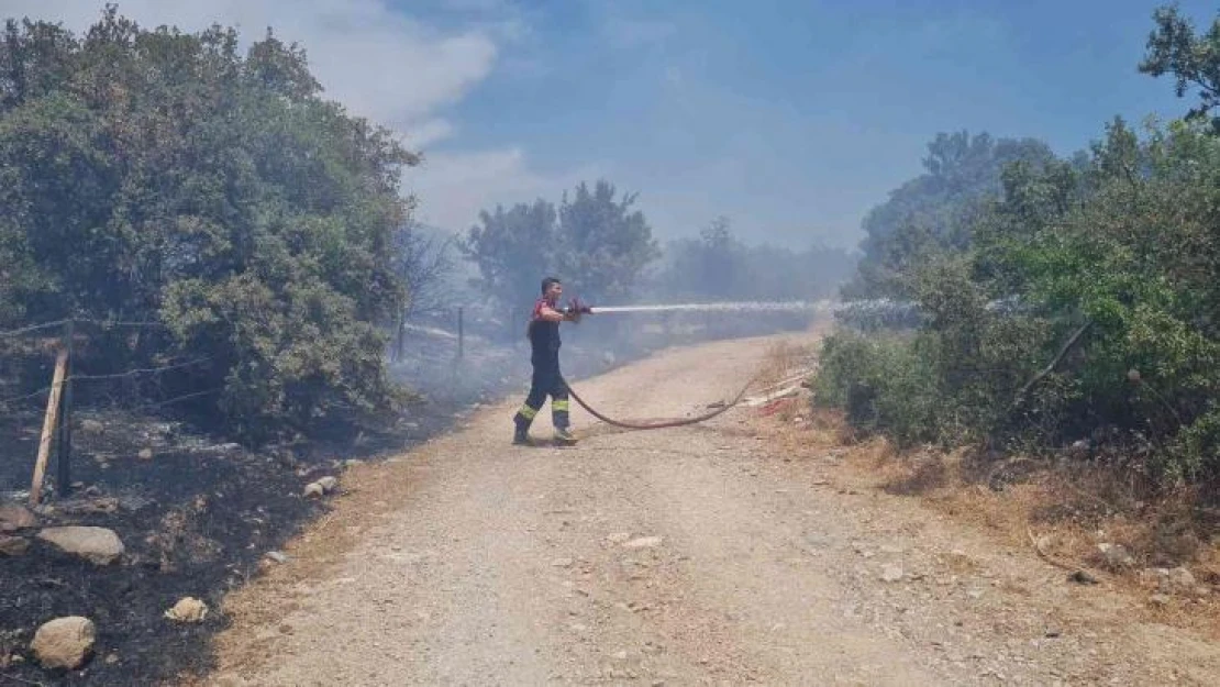 Bodrum'daki yangın 3 saatlik çalışmayla söndürüldü