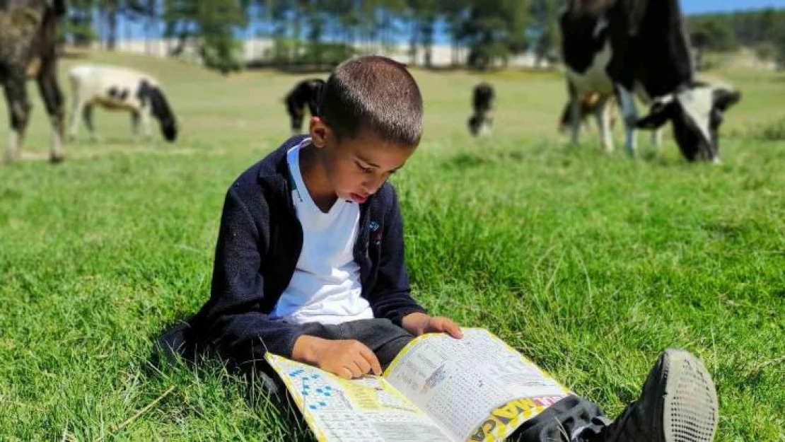 Boyundan büyük hayvanlara çobanlık yapıyor