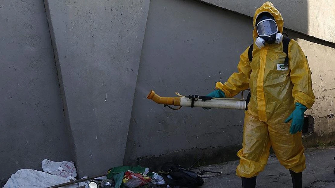 Brezilya'da Zika virüsü ile mücadelede sağlıkçılara tam yetki