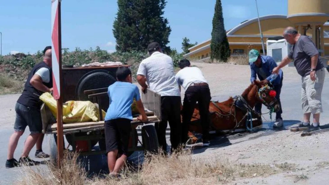 Bunaltıcı sıcakta yük ve insan taşıyan at, yere yığıldı zor anlar yaşadı