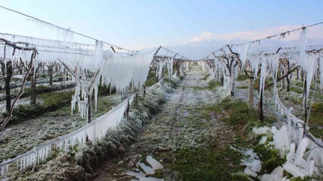 Burası Sibirya değil Manisa