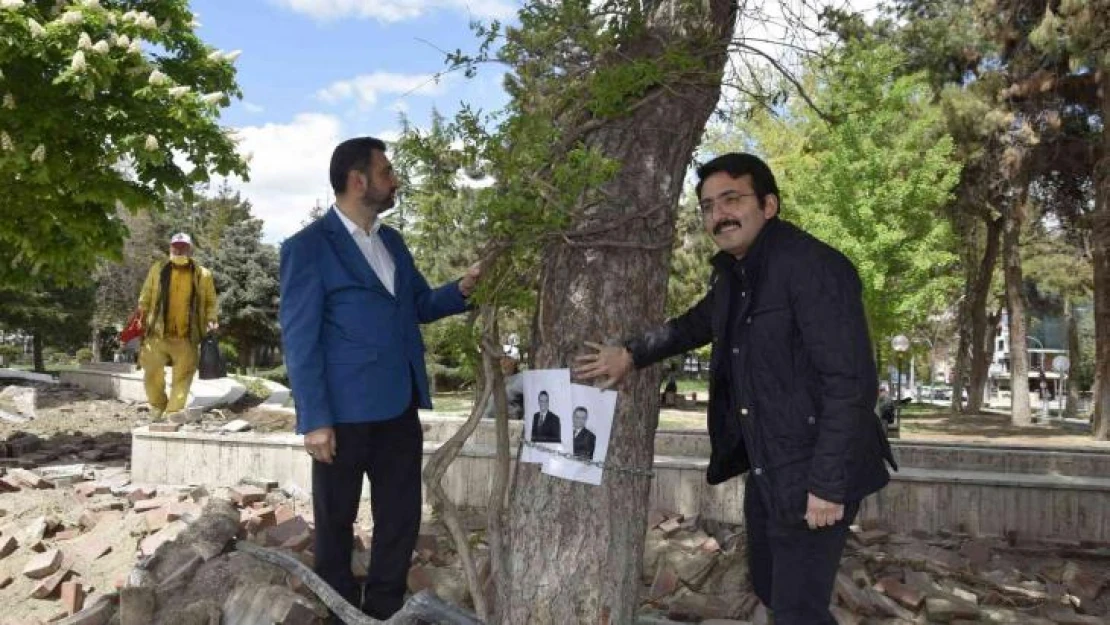 Burdur Belediyesinin kestiği yarım asırlık çam ağaçları için zincirli eylem