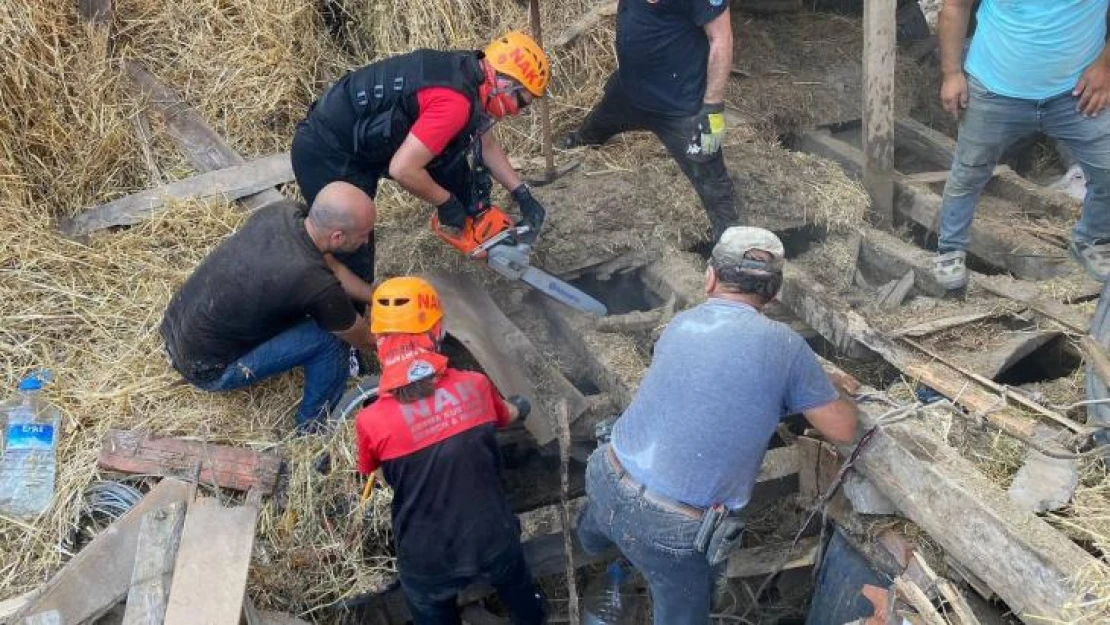 Bursa'da ahır yıkıldı, 5 büyükbaş hayvan telef oldu