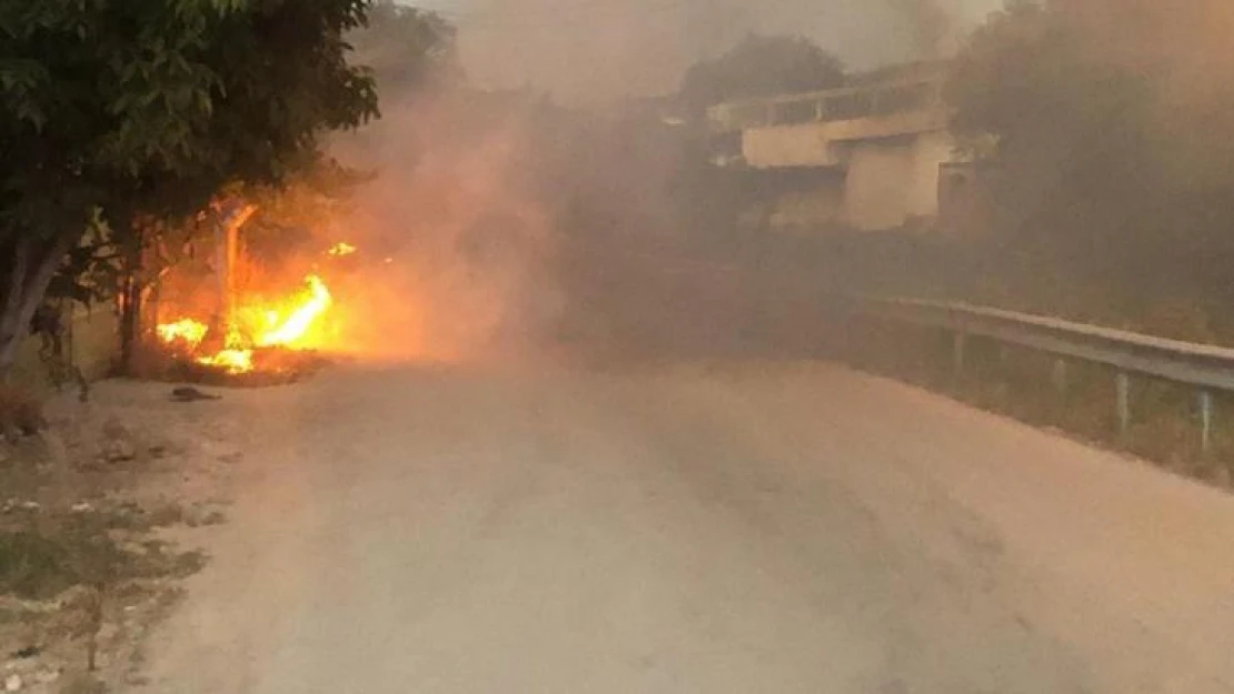 Bursa'da çalılık alanda çıkan yangın paniğe sebep oldu