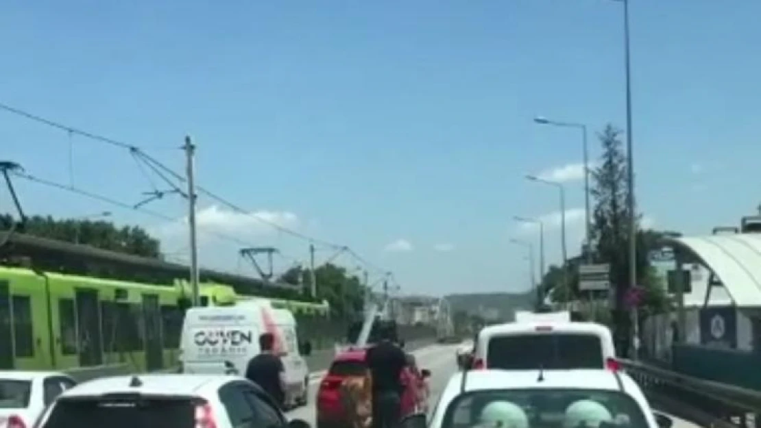 Bursa'da kaçan boğalar trafiği kilitledi