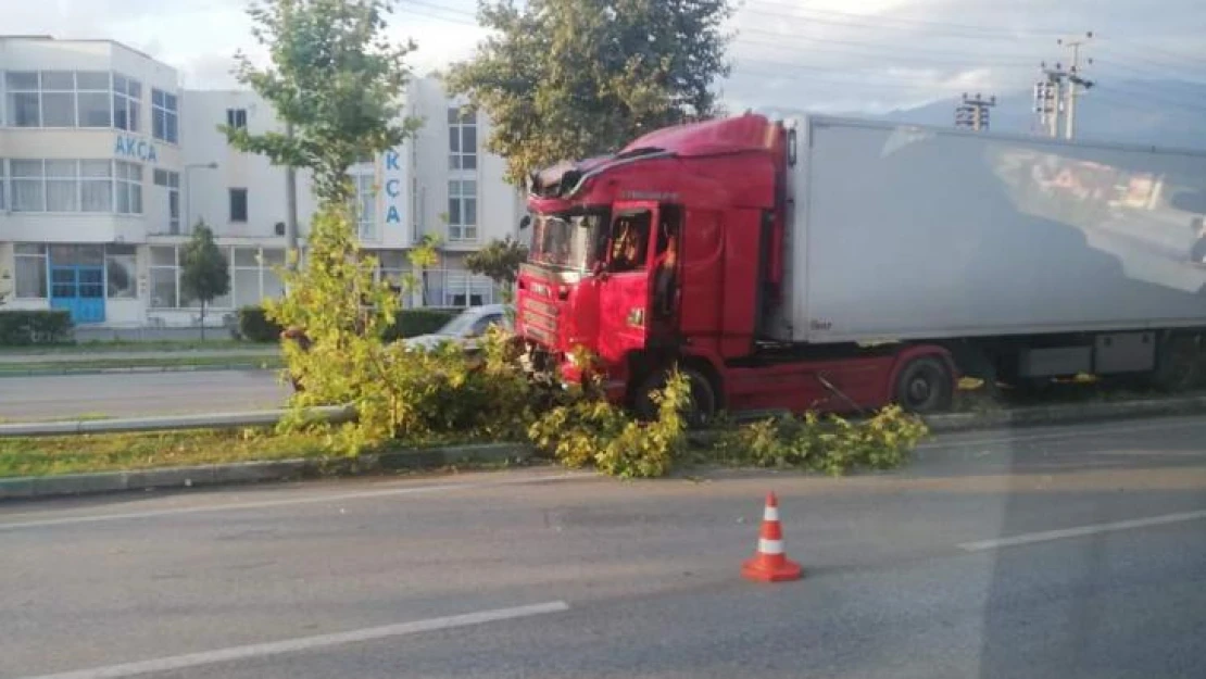 Bursa'da kontrolden çıkar tırı, ağaçlar durdurdu